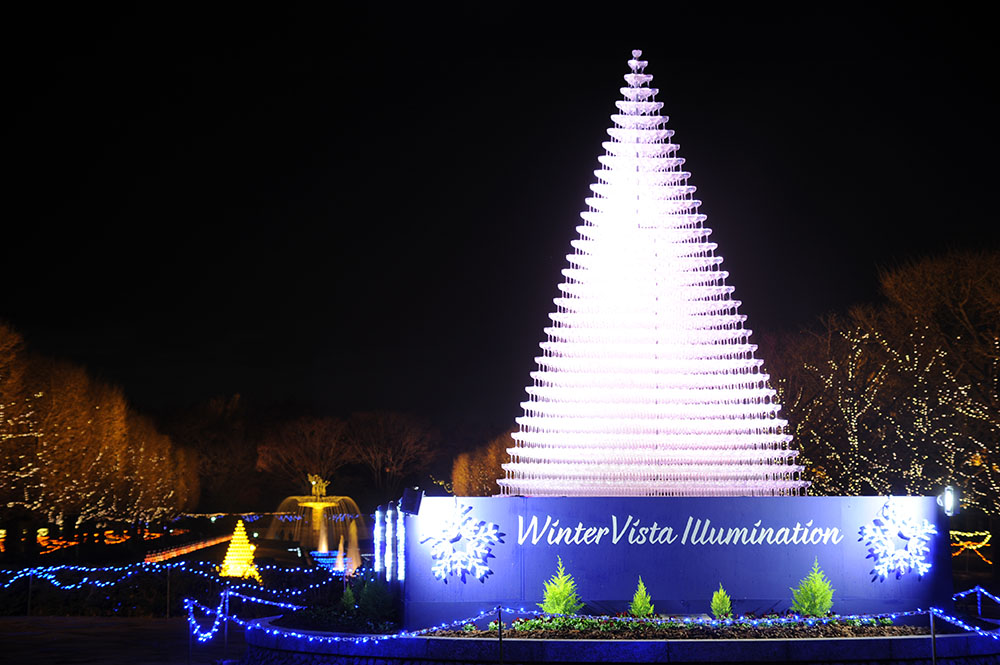Winter Vista Illumination(国営昭和記念公園)