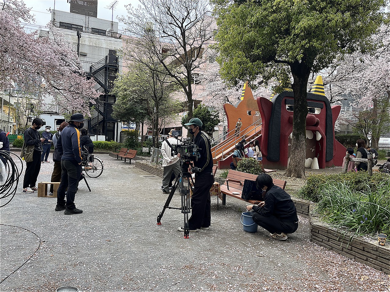 NHK「やさしい猫」