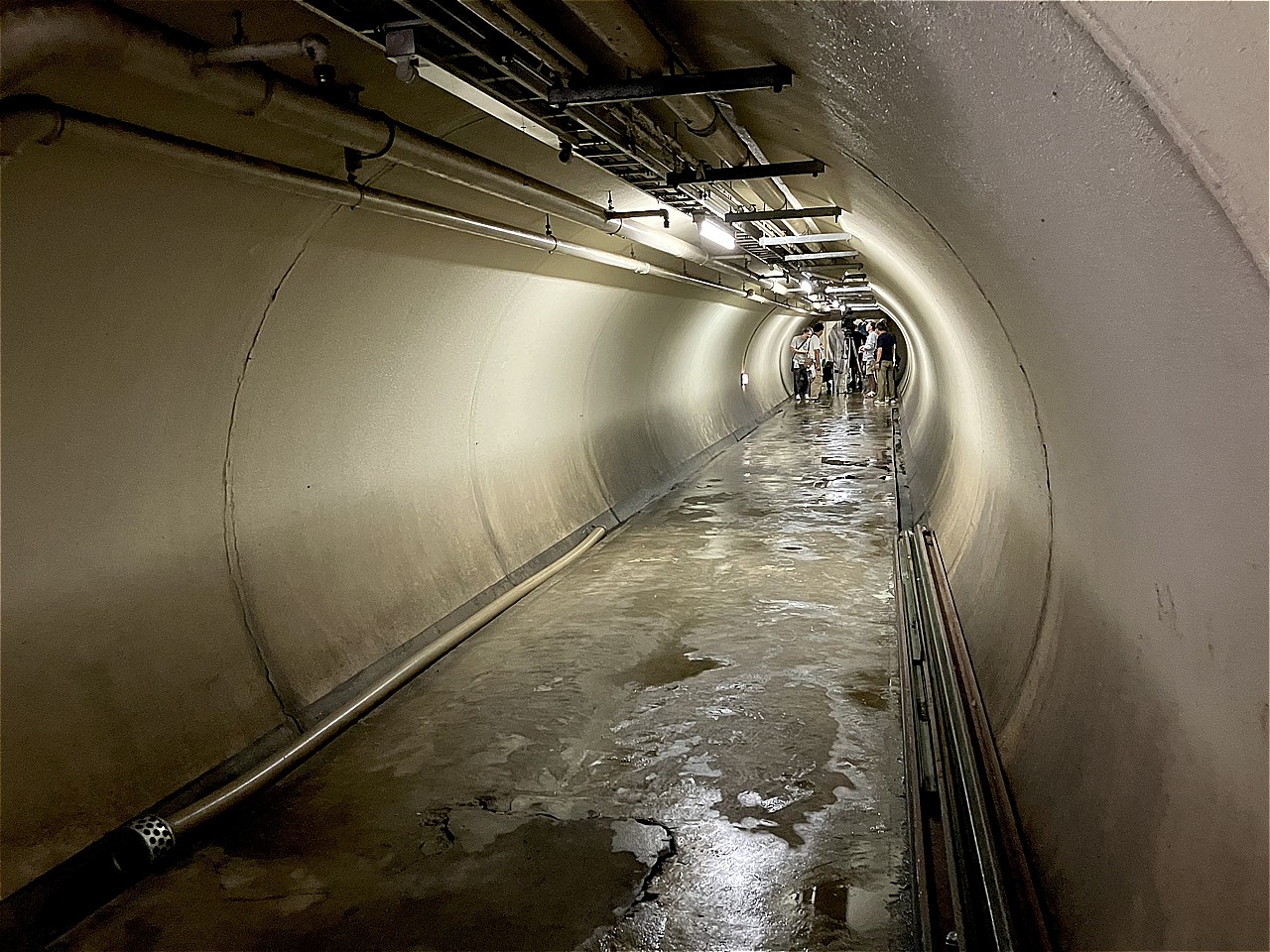 フジテレビ「ONE DAY 〜聖夜のから騒ぎ〜」