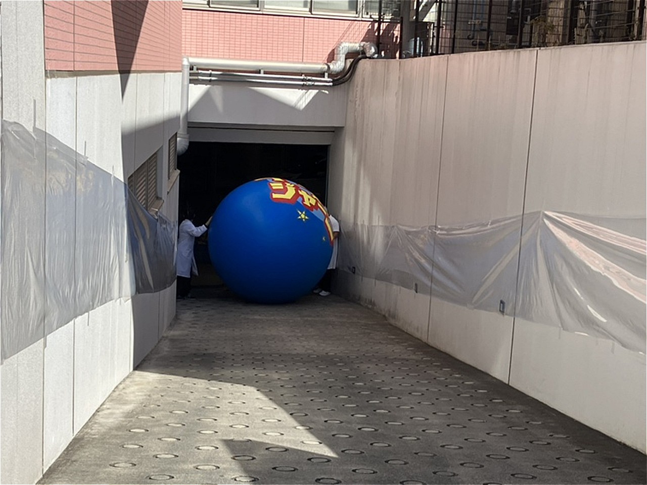 フジテレビ「イタズラジャーニー」春の健康診断