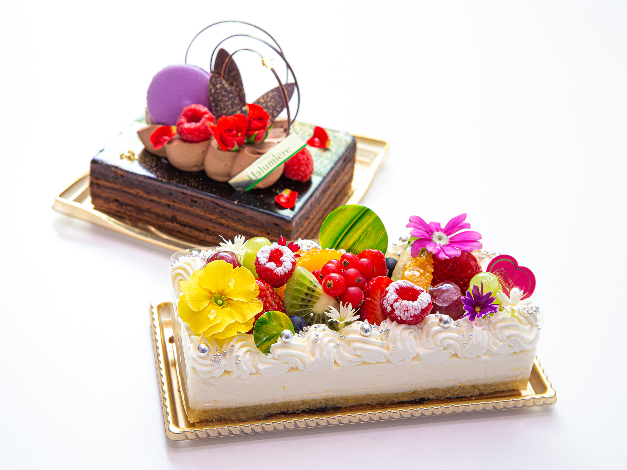 スライダーメイン画像