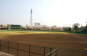 立川公園野球場